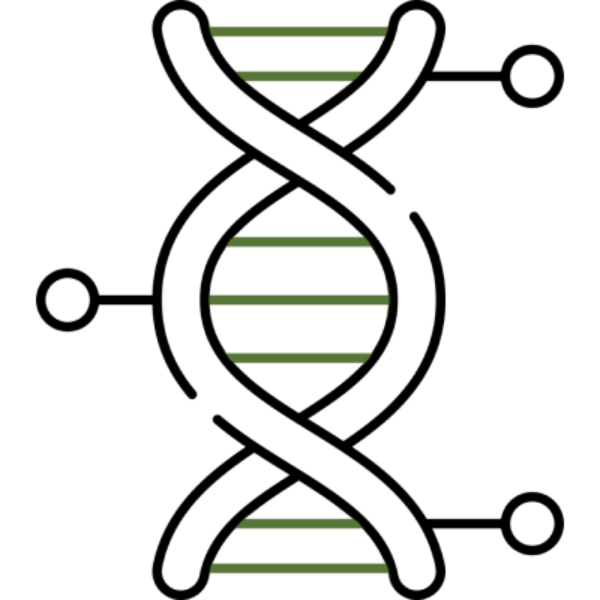 Regenerative Therapies