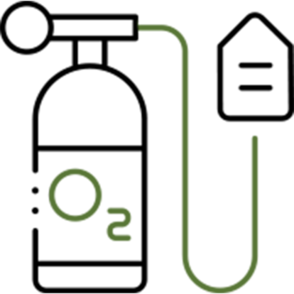 Medical Ozone Therapies